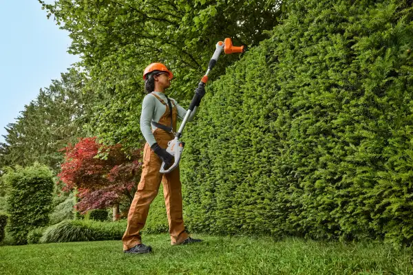 Gardener in protective gear trimming the top of a tall conifer hedge with a STIHL long-reach battery hedge trimmer
